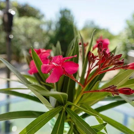 Maison Avec Jardin Et Climatisation Mons (Gard)